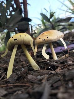 Mushroom World, Hold My Hand, Follow On Instagram, Zelda, Instagram Photos, Plants, On Instagram, Instagram