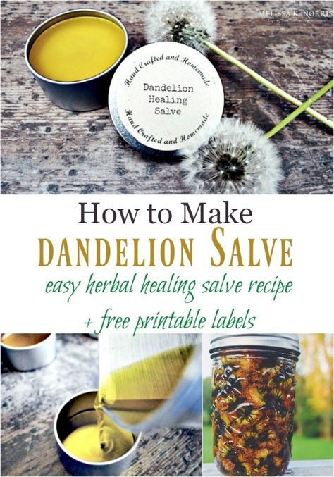 How to Make Dandelion Salve – DIY Herbal Healing Salve Dandelion Salve, Healing Salve Recipe, Healing Salve, Salve Recipes, Dandelion Jelly, Herbal Salves, Healing Salves, Healing Recipes, Natural Healing Remedies