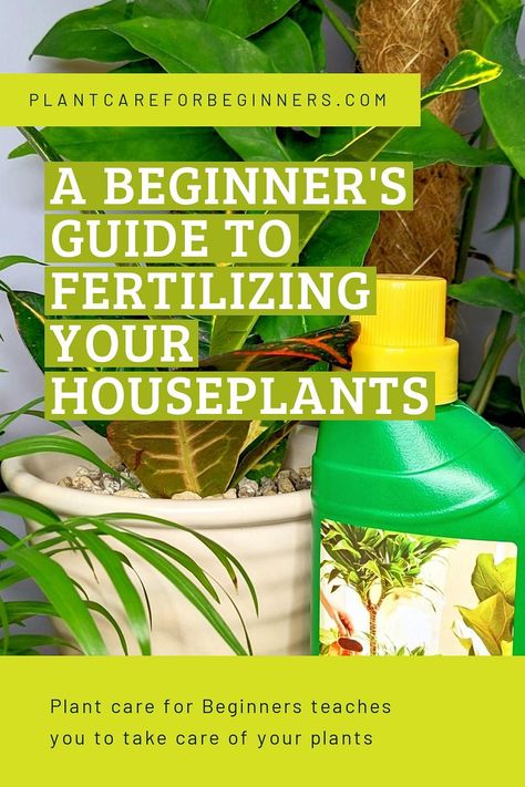 Are you a beginner houseplant enthusiast looking to fertilize your houseplants? Look no further! This guide offers everything you need to know about fertilizing houseplants, from the types of houseplant fertilizers available to tips on avoiding over-fertilization. Houseplant Fertilizer, Succulent Fertilizer, Plant Maintenance, Plant Pests, Inside Plants, Indoor Plant Care, Fertilizer For Plants, Plant Guide, Low Light Plants