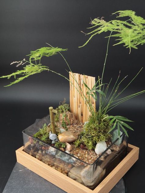 Handmade one of a kind desktop zen garden featuring real living plants and a water fixture. This mini garden is an art piece that presents the essence of zen in its beautiful and serene design. It uses an electric water pump to supply water to the plants. Minimal care is needed for you to watch the plants grow, listen to the water flow, and enjoy a mind calming garden from any room. Please Note: These are handmade from natural materials. They will be very similar but may not be identical to the Mini Water Fountain, Zen Garden Mini, Moss Terrariums, Bonsai Indoor, Plant Sculpture, Desktop Zen Garden, Water Garden Plants, Serene Design, Miniature Zen Garden