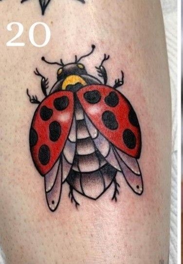 Old School Ladybug Tattoo, Ladybug Tattoo American Traditional, Neo Traditional Ladybug Tattoo, Ladybug Tattoo Traditional, American Traditional Ladybug, Traditional Ladybug Tattoo, Ladybug Tattoos, Ladybug Tattoo, Mangas Tattoo