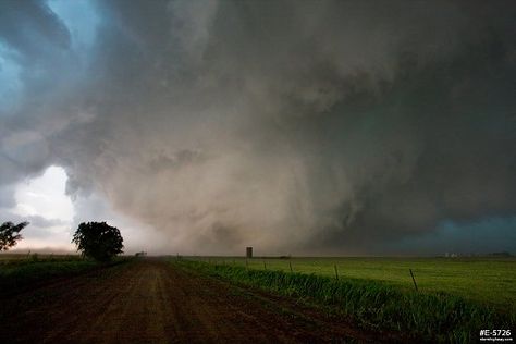 El Reno Tornado, Tornado Chasers, Oklahoma Tornado, Storm Pictures, Weather Photography, Storm Chaser, Storm Chasing, Severe Storms, Us History