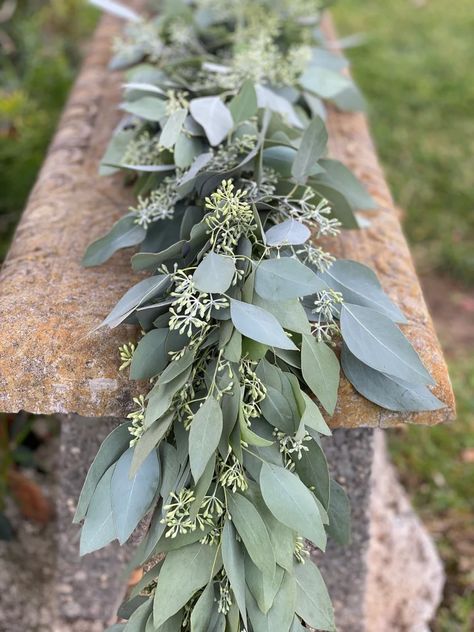 Emmaline Bride - Handmade Wedding Blog Wondering where to buy eucalyptus garland for weddings in bulk or individual strands? No problem, we’re here to help! Make… Handmade Wedding Blog White Bridal Shower Dress, Wedding Flowers Greenery, Dyed Flowers, Aisle Runners, Table Garland, White Bridal Shower, Wedding Garland, Eucalyptus Garland, Seeded Eucalyptus