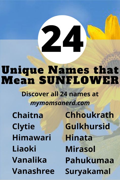 Sunflower Username Ideas, Meaning Sunflower, Sunflower Names, Feminine Names, Best Names, Nerdy Baby, Gambling Art, Greek Names