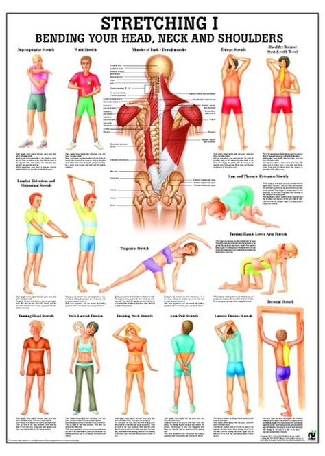 Shoulder Stretching, Static Stretches, Human Muscular System, Fitness Poster, Beginner Pilates, Pilates Benefits, Beginner Workouts, Volleyball Workouts, Pilates Video