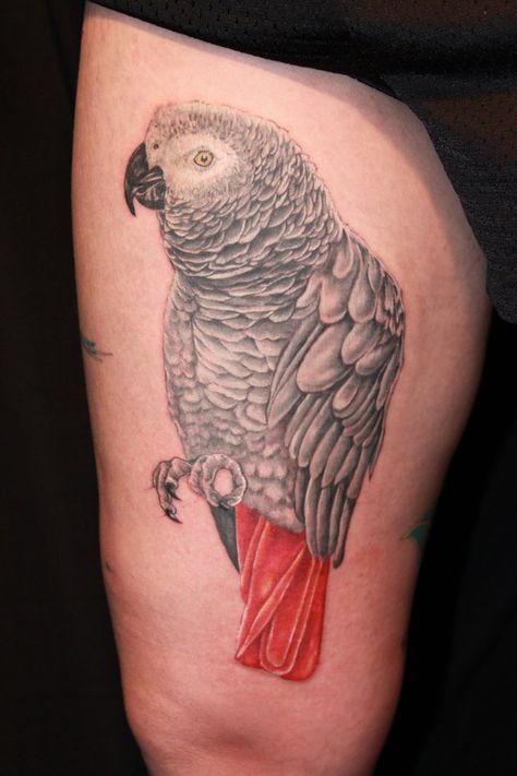 Animal Tattoo SQUEEEEE | Avian Avenue Parrot Forum African Grey Tattoo, African Grey Parrot Tattoo, African Queen Tattoo, Timneh African Grey, African Sleeve Tattoo, Gray Parrot, Parrot Tattoo, African Tree, African Tattoo