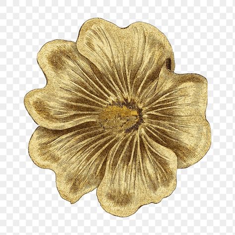 Vintage gold Alcea Rosea flower | premium image by rawpixel.com / nap Gold Stickers Aesthetic, Alcea Rosea, Arte Aesthetic, Gold Clipart, Vintage Png, Floral Png, Flower Icons, Gold Stickers, Gold Aesthetic