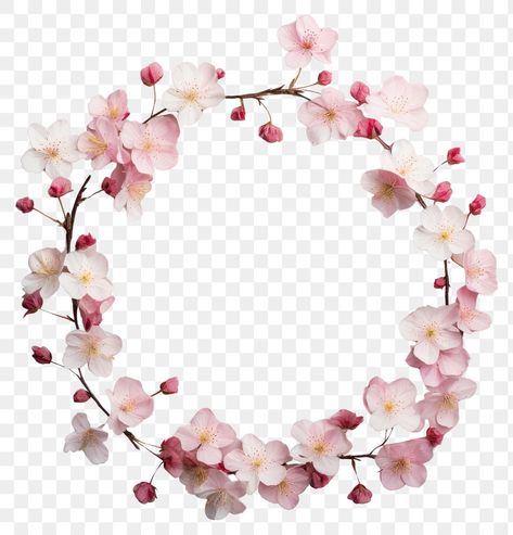 Cherry Blossom Circle, Circle Wreath, Png Heart, Heart Paper, Cherry Blossom Flowers, Paper Heart, Paper Background, Free Png, Free Image