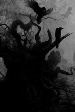 ravens Crows Ravens, Goth Art, Gothic Aesthetic, Dark Tattoo, Beautiful Dark Art, Six Feet Under, Fantasy Aesthetic, Crows, Enchanted Forest