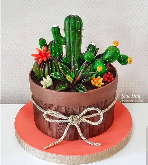 Cactus Themed Cake, Plant Cakes, Succulent Cakes, 12th Birthday Cake, Succulent Cake, Cactus Cake, Buckwheat Cake, Cake Easy, Birthday Cakes For Women