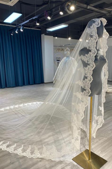 Gorgeous Wedding Veils, Bridal Long Veil, Long Veil Wedding Cathedrals, Lace Wedding Veil Long, Long Beautiful Veils, Regal Wedding Veil, Lacy Wedding Veil, Royal Wedding Veil, Cathedral Style Wedding Dress