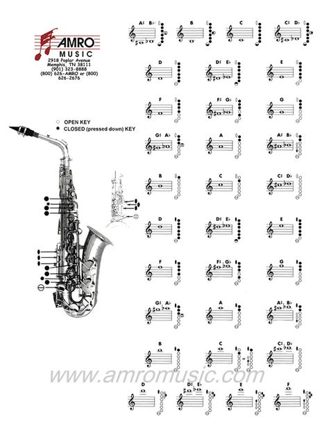 Saxophone Notes, Saxophone Fingering Chart, Alto Sax Sheet Music, Alto Saxophone Sheet Music, Middle School Band, Saxophone Music, Saxophone Sheet Music, Solfege, Flute Music