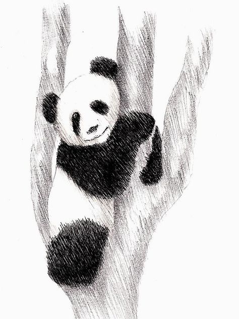 How you could draw a panda sketch with pencil lining? #cutepandadrawing #pandadrawingeasy #redpandadrawing #cartoonpandadrawing #pandadrawingrealistic #kungfupandadrawing #pandadrawingstepbystep #simplepandadrawing #pandadrawingpencil #drawingideas #pencilartdrawing #easydrawings #drawingideaseasy #cutedrawing #art #pandadrawing #panda Panda Sketch, Jungle Drawing, Cute Panda Drawing, Panda Nursery, Scratch Book, Panda Drawing, Eyes Drawing, Angel Images, Picture Letters