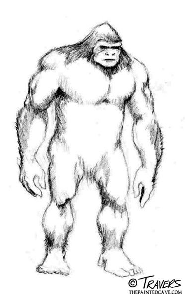 Bigfoot Sketch, Yeti Cryptid, Bigfoot Drawing, Cryptid Creatures, Bigfoot Pictures, Elephant Coloring, Pie Grande, Bigfoot Art, Feet Drawing