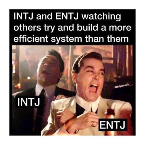 Entj And Intj Relationship, Mbti Entj, Entj Relationships, Intj Humor, Intj Enfp, Entj Personality, Intj Women, Intj T, Intj And Infj