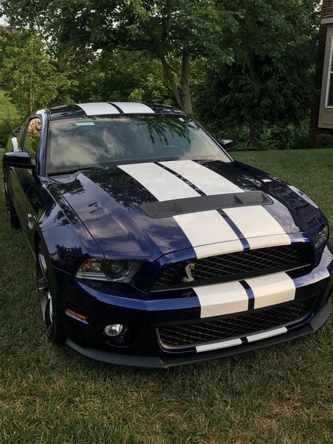 2013 Shelby Gt500, 2012 Mustang Gt, Mustang Shelby Gt 500, 2012 Mustang, Shelby Mustang Gt500, Ford Mustang V8, Blue Mustang, Convertible Cars, 2014 Mustang