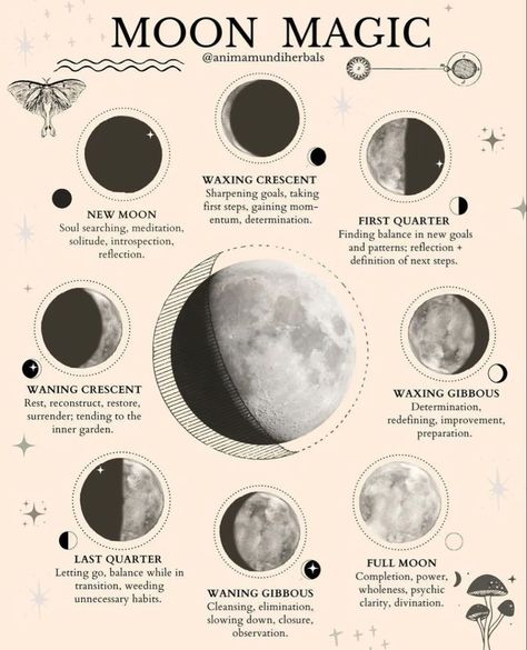 Lunar Birth Phase, New Moon Illustration, Witchcraft Journal, Lunar Magic, The Phases Of The Moon, Moon Phase Calendar, Moon Rituals, Moon Reading, Moon Journal