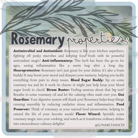 Rosemary…we use it in our cooking often but did you know the other properties of it? I add it to simmer pots, spell jars and infused oils. Intention oils coming to my Etsy shop soon. https://lunarchances.etsy.com #rosemary #rosemaryoil #rosemarywater #antimicrobial #antioxidant #antiinflammatory #lowerbloodsugar #healthygut #recipesarejustspells #comingsoon #comingsoontomyetsyshop #etsy #etsyshop #etsyseller #etsyfinds #lunarchances #intention #intentionsetting #intentionoils #witchythings... Intention Oils, Simmer Pots, Rosemary Water, Rosemary Tea, Spell Jars, Intention Setting, Sleep Issues, Rosemary Oil, Infused Oils