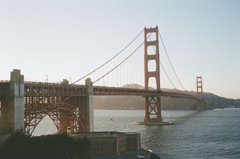 san francisco on film 🎞️ On Film, Film Stills, San Francisco, Film, Quick Saves