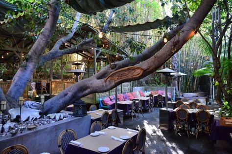 Cliff's Edge Restaurant in Los Angeles may be one of Southern California's best kept secrets. Los Angeles Restaurants, Romantic Restaurant, Places To Get Married, California Travel Road Trips, Outdoor Restaurant, City Of Angels, Silver Lake, Best Places To Eat, California Travel