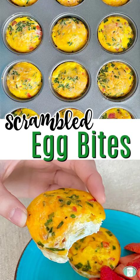 Freezer Eggs, Egg Bites Recipe, Freezer Meal Planning, Scrambled Egg, Freezer Breakfast, Food Stamps, Egg Bites, Breakfast Idea, French Toast Casserole