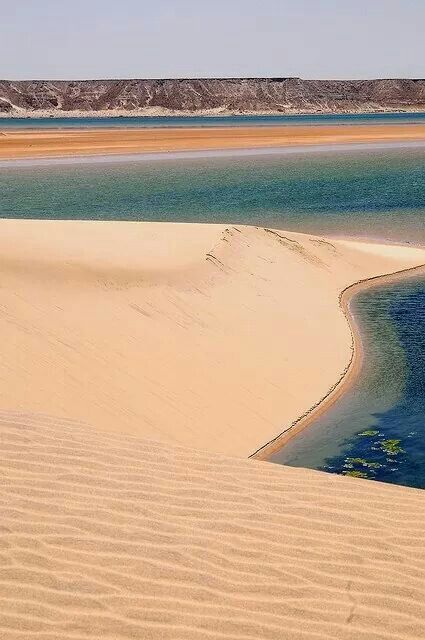 Scenery Beach, Phuket Island, Desert Sahara, Deserts Of The World, Western Sahara, Desert Travel, Desert Life, Adventure Vacation, Nature Scenery