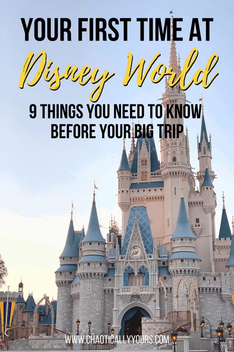 Disney Worlds, Disney World Secrets, Dining Plan, Disney Florida, Disney World Vacation Planning, Disney World Food, Disney Trip Planning, Disney Vacation Planning, Disney Orlando