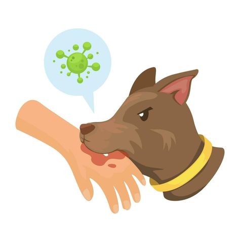 Dog Biting Drawing, Dog Biting Hand, Rabid Dog, Assignment Ideas, Dog Attack, Private Hospitals, Street Dogs, Halloween Vector, Lesson Planning