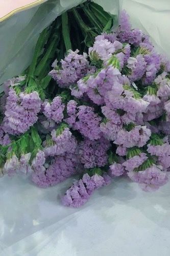 Purple Cottagecore, Purple Comfort, Lavender Aesthetic, Lavender Green, Lilac Flowers, Beautiful Landscape Wallpaper, Pastel Flowers, Soft Purple, Aesthetic Colors