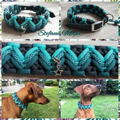 Paracord Projects Diy, Paracord Dog Leash, Paracord Bracelet Patterns, Paracord Braids, Personalized Leather Dog Collar, Diy Dog Collar, Paracord Dog Collars, Paracord Diy, Collars Diy