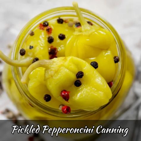 Pepperoncini Canning : How to Make Pickled Pepperoncini Canning - Foodie Front Pickled Pepperoncini, Pickled Recipes, Season Steak Recipes, Tomato Chutney Recipe, Green Chile Recipes, Honey Mustard Recipes, Honey Mustard Salmon, Garlic Sauce Recipe, Spinach Dip Recipe