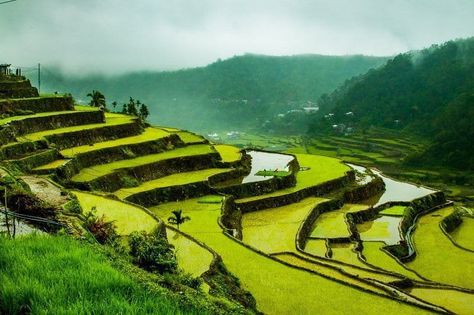 Hapao Rice Terraces Banaue Rice Terraces Drawing, Banaue Rice Terraces Philippines, Rice Terraces Philippines, Slope Garden, Banaue Rice Terraces, Magical Scenery, Terraced Landscaping, Singapore Garden, Banaue