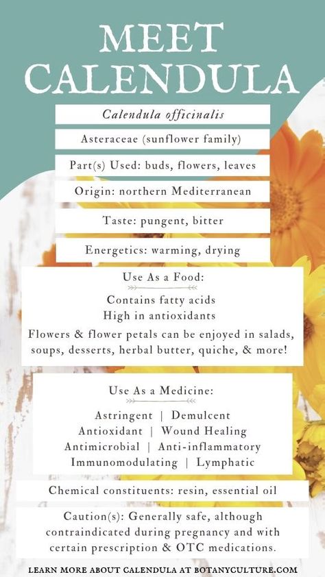 Calendula Salve Benefits, Benefits Of Calendula For Skin, Calendula Flower Benefits, Chakra Herbs, Benefits Of Calendula, Herb Healing, Apothecary Garden, Magickal Correspondences, Calendula Tea