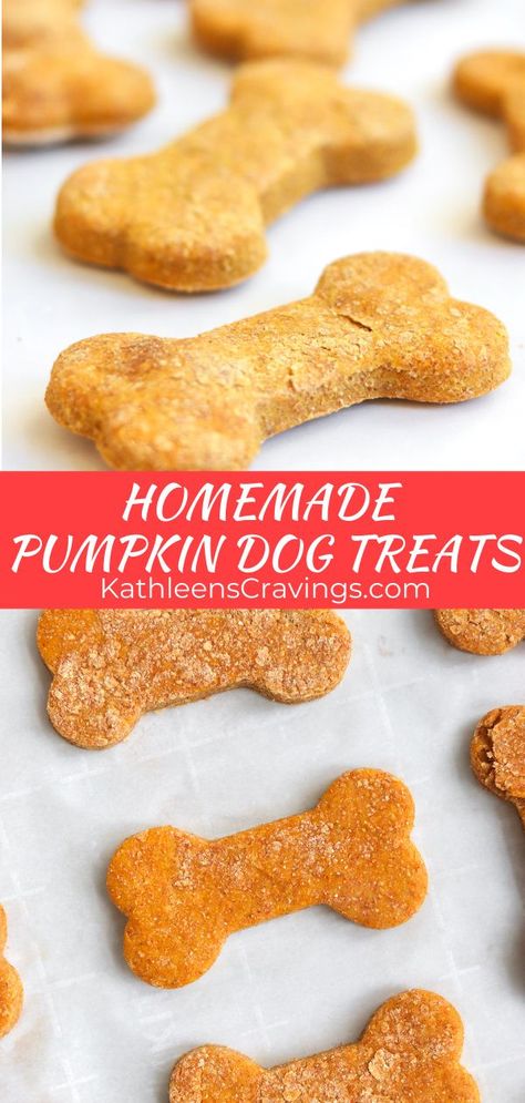 Dog Cookies Recipe Pumpkin, Homemade Pumpkin Dog Treats, Pumpkin Whole, Dog Treats Homemade Peanut Butter, Peanut Butter Pumpkin Dog Treats, Dog Treats Homemade Pumpkin, 3 Ingredient Dog Treats, Pumpkin Dog Biscuits, Dog Cookie Recipes