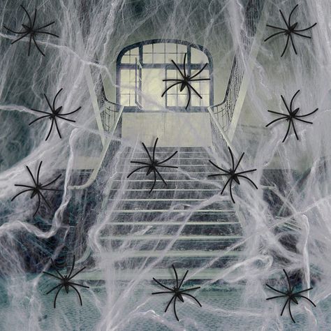 Spider Web Halloween Decorations, Real Spiders, Halloween Living Room, Fake Spider, Spider Web Decoration, Halloween Supplies, Spooky Halloween Decorations, Horror House, Halloween Spider Web