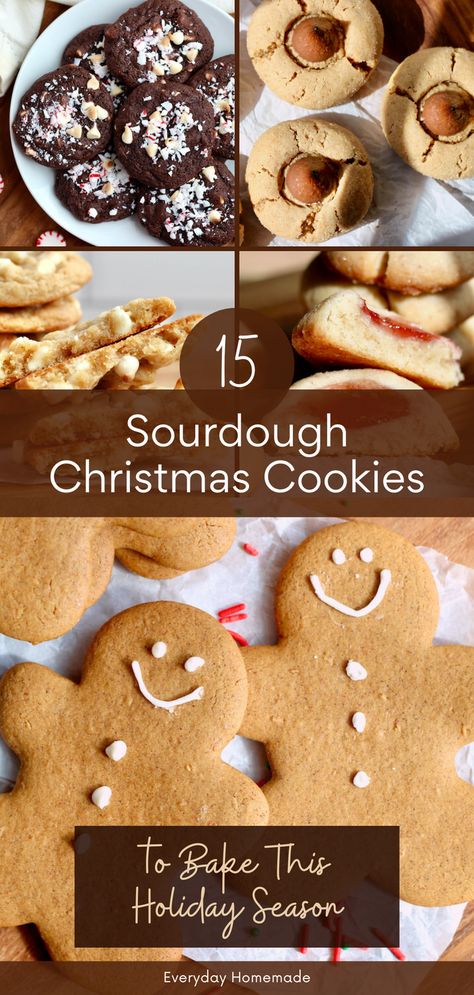 These 15 Sourdough Christmas Cookies are the perfect holiday treats! Made with sourdough starter discard, these easy, quick recipes include classic favorites like gingerbread men, peanut butter, chocolate chip, peppermint, and molasses. No chilling required, so you can make them the same day or ahead of time. Perfect for gift ideas, cookie boxes, and homemade desserts, these festive cookies will make your Christmas extra sweet! Cookies With Sourdough Discard, Sour Dough Christmas Cookies, Sourdough Discard Thumbprint Cookies, Sourdough Christmas Cookie Recipes, Sourdough Discard Molasses Cookies, Sourdough Cookies Discard, Sourdough Peppermint Cookies, Sourdough Recipes Cookies, Sourdough Discard Cookies Easy