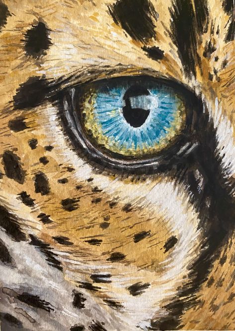 Leopard eye painting with gouache. Leopard illustration. Eye Oil Painting, Eye Closeup, Leopard Illustration, Painting With Gouache, Leopard Eyes, Leopard Ears, Eye Painting, Mini Canvas Art, Mini Canvas