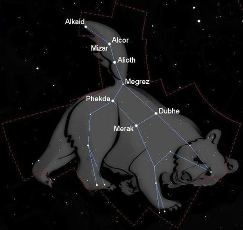 Constellation of Ursa Major Callisto was turned into a bear and then eventually into a constellation. http://www.futura-sciences.us/dico/d/space-constellation-ursa-major-50005604/ Ursa Major Constellation, Cardiac Cycle, Kodiak Bear, Astronomy Constellations, Empire Romain, Ursa Major, Big Dipper, Pole Star, Summer Sky