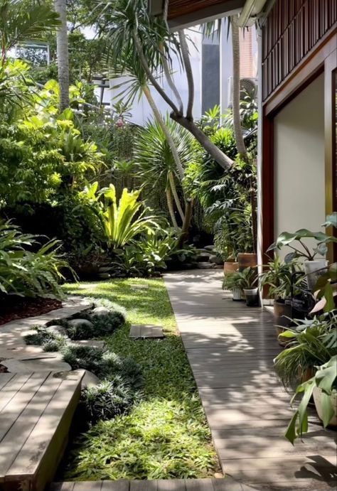 Northern Landscaping Ideas, Tropical Landscape Design, Tropical Garden Design, Jungle Gardens, Tropical Backyard, Courtyard Gardens Design, Fall Garden Vegetables, Recycled Garden, Tropical House