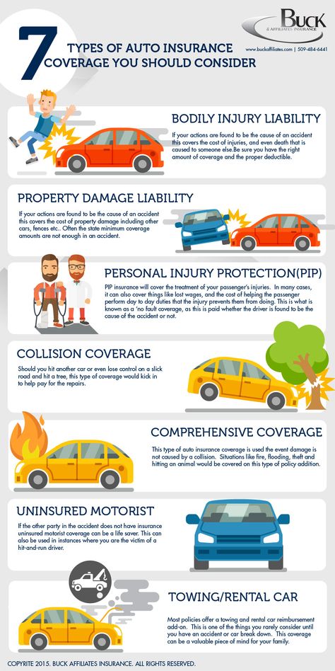 Infographic we did for Buck & Affiliates Insurance Types Of Cars, Car Insurance Tips, Car Facts, Car Care Tips, Insurance Sales, Insurance Marketing, Best Car Insurance, Car Essentials, Learning To Drive