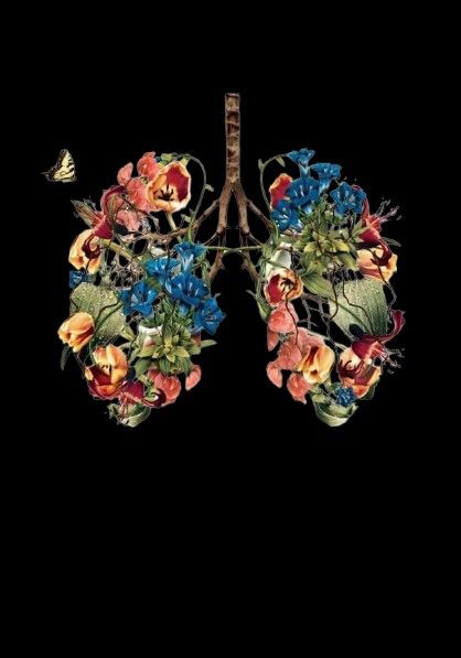 Wisp Aesthetic, Anatomy With Flowers, University Medicine, Lungs Drawing, Lungs Art, Flower Anatomy, Heart Lungs, Leg Tattoo Ideas, Mind Heart