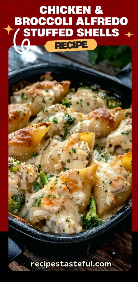 Cheesy Stuffed Pasta, Chicken Broccoli Alfredo Pasta, Broccoli Alfredo Pasta, Alfredo Stuffed Shells, Chicken Alfredo Stuffed Shells, Chicken Stuffed Shells, Shell Pasta Recipes, Chicken Broccoli Alfredo, Jumbo Pasta Shells