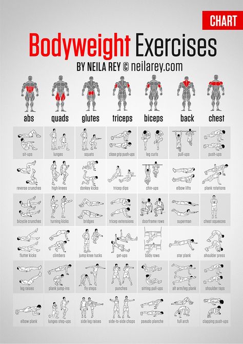 Imgur: The most awesome images on the Internet Bolesti Chrbta, Core Strengthening Exercises, Muscle Abdominal, Ab Routine, Bodyweight Exercises, Fitness Routines, Strengthen Core, Trening Fitness, Exercise Routines