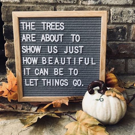 I Love Halloween Quotes, Fall Board Quotes, Love Letterboard Quotes, Fall Felt Board Quotes, Love Fall Quotes, Fall Letterboard Quotes Funny, Fall Message Board Quotes, Funny Fall Letter Board Quotes, Fall Letterboard Ideas