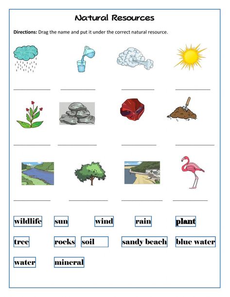 Natural Resources Worksheet, Worksheets For 5th Grade, Teaching Counting, Continents And Oceans, Homeschool Worksheets, Work Sheet, Esl Resources, Time Worksheets, About Science