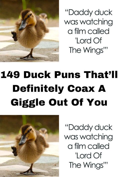 Wizard Quotes, Duck Jokes, Duck Puns, Dumbledore Quotes, Cat In Heat, High Clouds, Amazing Funny Facts, Sandwich Shop, Wow Facts