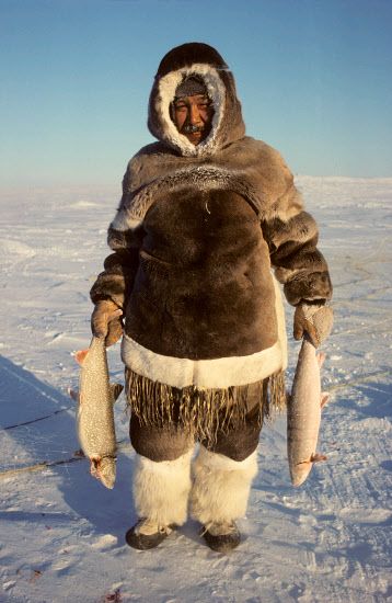 Nutarariaq, an Inuit hunter, with his catch of Arctic Char and Lake Trout. Igloolik, Nunavut, Canada.: Canadian Eastern Arctic,: Arctic & Antarctic photographs, pictures & images from Bryan & Cherry Alexander Photography. Nunavut Canada, Arctic Char, Lake Trout, Inuit People, Inuit Art, Arctic Circle, People Of The World, World Cultures, First Nations