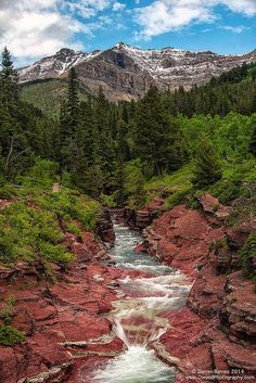 Waterton Lakes National Park, Photography Mountains, Red Rock Canyon, Green Forest, Cool Landscapes, Alberta Canada, Red Rock, Canada Travel, Pretty Places