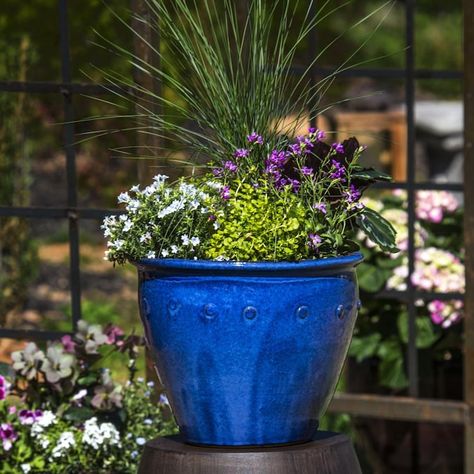 Florida Landscaping, Blue Planter, Indoor Outdoor Planter, Garden Plans, Allen Roth, Outdoor Planter, Planter Pots Outdoor, Modern Planters, Blue Garden