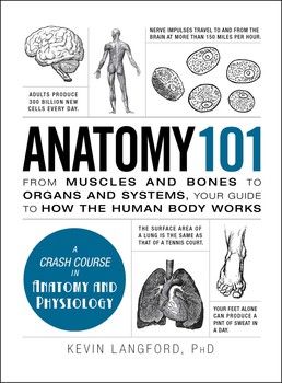 The Human Body Anatomy, Anatomy 101, Anatomy Education, Human Body Structure, Basic Anatomy And Physiology, Chemical Bond, Human Body Anatomy, Organ System, Human Anatomy And Physiology